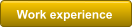 Work experience